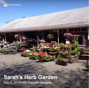 SarahGardening_Image